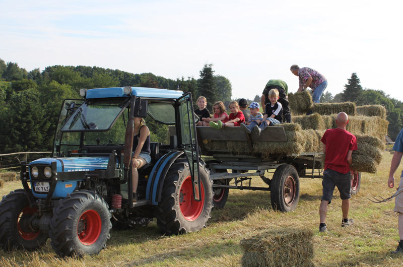 Heuernte auf dem Ferienhof: Feriengäste helfen mit