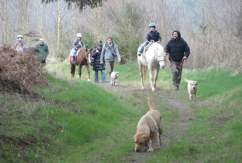 Bauernhofurlaub-Gäste beim Reiten im Eifel-Wald